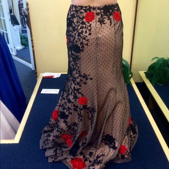 Prom Dress - Picture 3 of 3